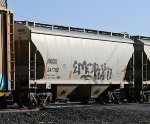 RGCX 341192
